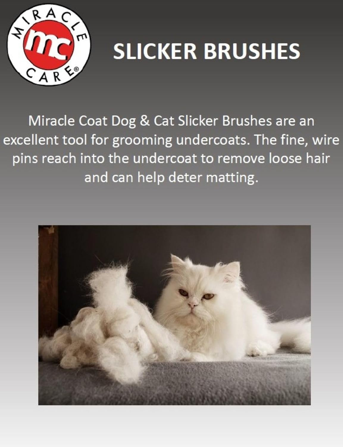 Slicker Brush for Dogs, Pet Hair Brush for Shedding, Removes Loose Undercoat, Ergonomic Handle, Larger Head for Large Dogs